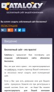 How rfoao.ru looks like on a mobile device such as an iPhone.