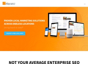 How rioseo.com looks like on a tablet such as an iPad.