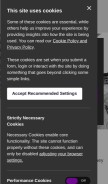 How risiinfo.com looks like on a mobile device such as an iPhone.