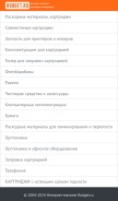 How rodget.ru looks like on a mobile device such as an iPhone.