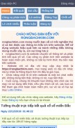 How rongbachkim.com looks like on a mobile device such as an iPhone.