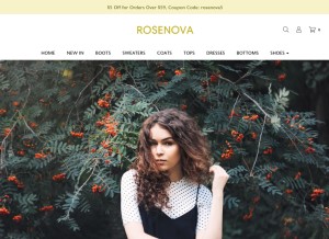 How rosenova.com looks like on a tablet such as an iPad.