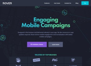 How rover.io looks like on a tablet such as an iPad.
