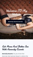 How royaldelhiservices.com looks like on a mobile device such as an iPhone.