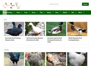 How roysfarm.com looks like on a tablet such as an iPad.