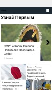 How runowos.ru looks like on a mobile device such as an iPhone.