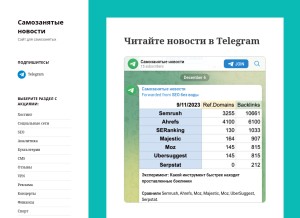 How samozanyatyenovosti.ru looks like on a tablet such as an iPad.