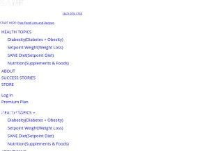 How sanesolution.com looks like on a tablet such as an iPad.
