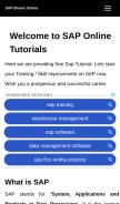 How sapbrainsonline.com looks like on a mobile device such as an iPhone.