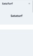 How sataturf.com looks like on a mobile device such as an iPhone.