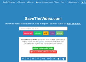 How savethevideo.com looks like on a tablet such as an iPad.