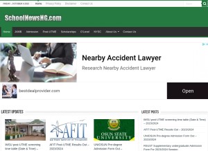 How schoolnewsng.com looks like on a tablet such as an iPad.