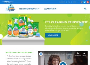 How scrubbingbubbles.com looks like on a tablet such as an iPad.