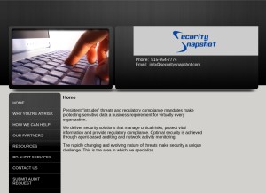 How secsnap.com looks like on a tablet such as an iPad.