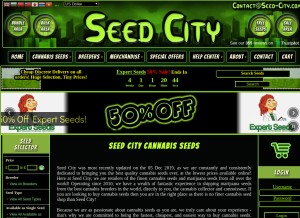 How seed-city.com looks like on a tablet such as an iPad.
