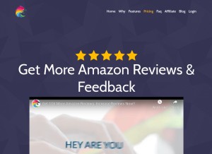 How sellerlion.com looks like on a tablet such as an iPad.