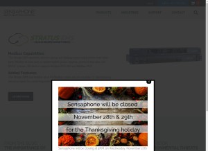 How sensaphone.com looks like on a tablet such as an iPad.