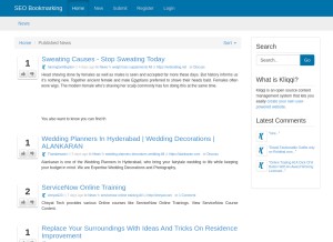 How seobookmarking.club looks like on a tablet such as an iPad.