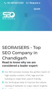 How seoraisers.com looks like on a mobile device such as an iPhone.