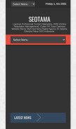 How seotama.com looks like on a mobile device such as an iPhone.