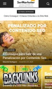 How sermarketer.com looks like on a mobile device such as an iPhone.
