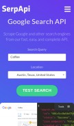 How serpapi.com looks like on a mobile device such as an iPhone.