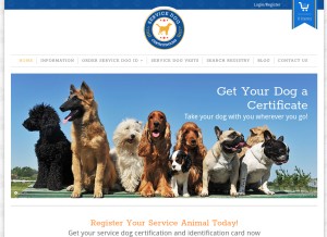 How servicedogcertifications.org looks like on a tablet such as an iPad.