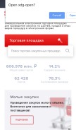 How setonline.ru looks like on a mobile device such as an iPhone.