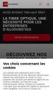 How sfrbusinessteam.fr looks like on a mobile device such as an iPhone.