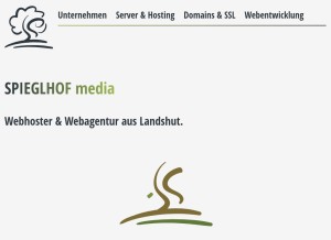 How shmhost.net looks like on a tablet such as an iPad.