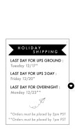 How shopesqueleto.com looks like on a mobile device such as an iPhone.