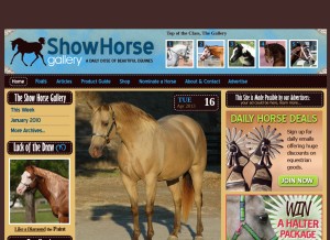How showhorsegallery.com looks like on a tablet such as an iPad.