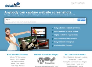 How shrinktheweb.com looks like on a tablet such as an iPad.