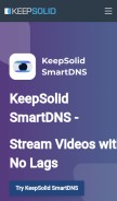 How simplexsolutionsinc.com looks like on a mobile device such as an iPhone.