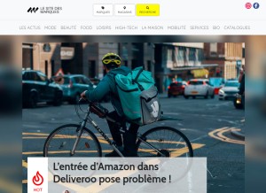 How sitedesmarques.com looks like on a tablet such as an iPad.