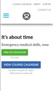 How skillstat.com looks like on a mobile device such as an iPhone.