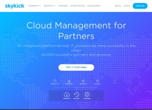 How skykick.com looks like on a tablet such as an iPad.