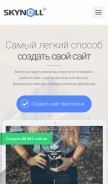 How skynell.biz looks like on a mobile device such as an iPhone.