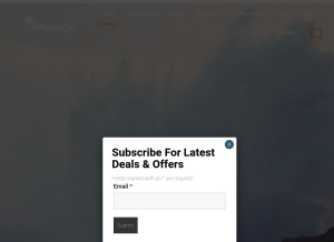 How skysafar.in looks like on a tablet such as an iPad.