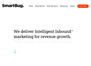 How smartbugmedia.com looks like on a tablet such as an iPad.