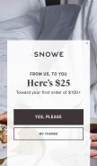 How snowehome.com looks like on a mobile device such as an iPhone.