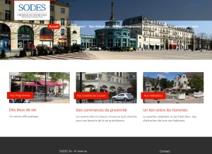 How sodes-sa.com looks like on a tablet such as an iPad.