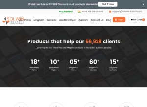 How solwininfotech.com looks like on a tablet such as an iPad.