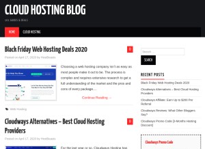 How specialhostingdiscount.com looks like on a tablet such as an iPad.