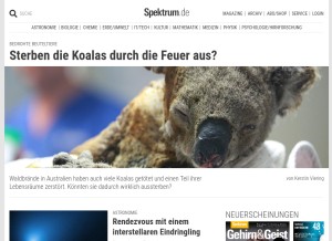 How spektrum.de looks like on a tablet such as an iPad.