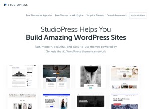 How studiopress.com looks like on a tablet such as an iPad.