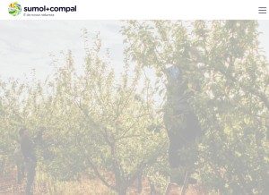 How sumol-compal.com looks like on a tablet such as an iPad.