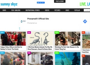 How sunnyskyz.com looks like on a tablet such as an iPad.