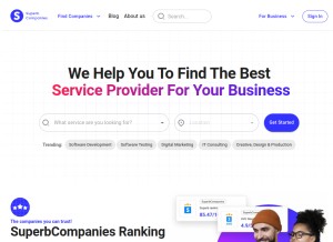 How superbcompanies.com looks like on a tablet such as an iPad.