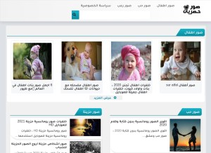 How surhds.com looks like on a tablet such as an iPad.